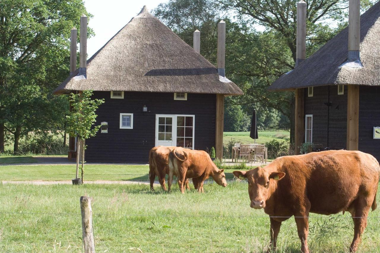 Erve Woolderink Villa Wierden Exterior photo